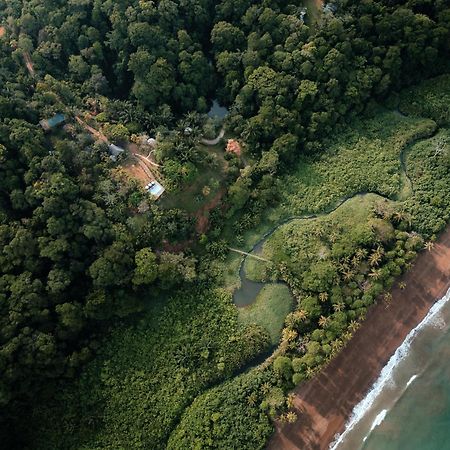 Natural Drake Bay Hotel Boutique المظهر الخارجي الصورة