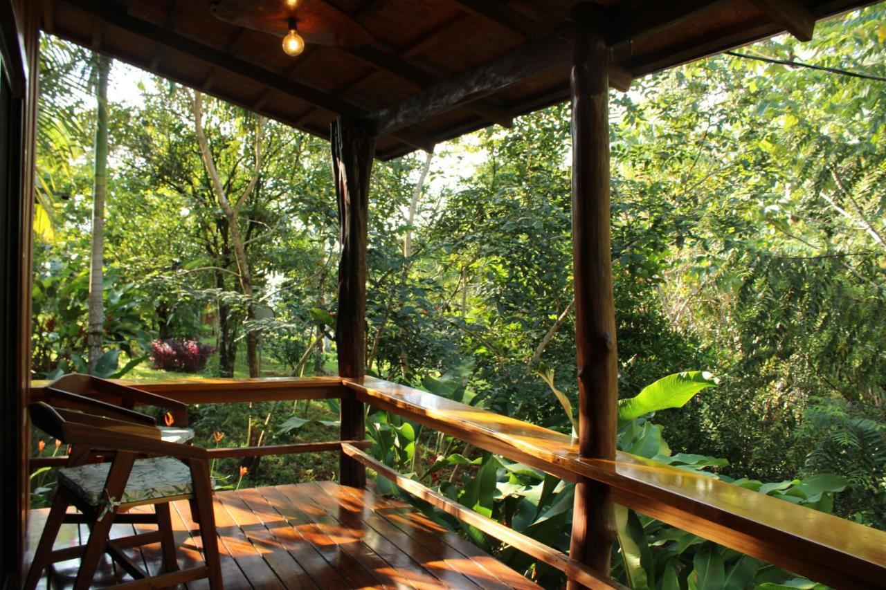 Natural Drake Bay Hotel Boutique المظهر الخارجي الصورة