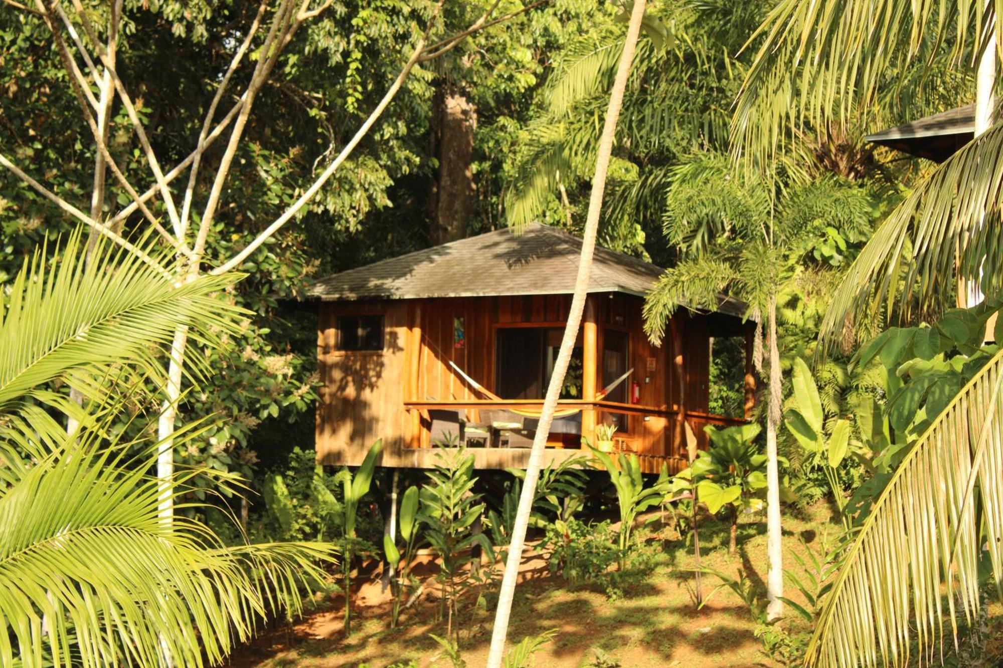 Natural Drake Bay Hotel Boutique المظهر الخارجي الصورة