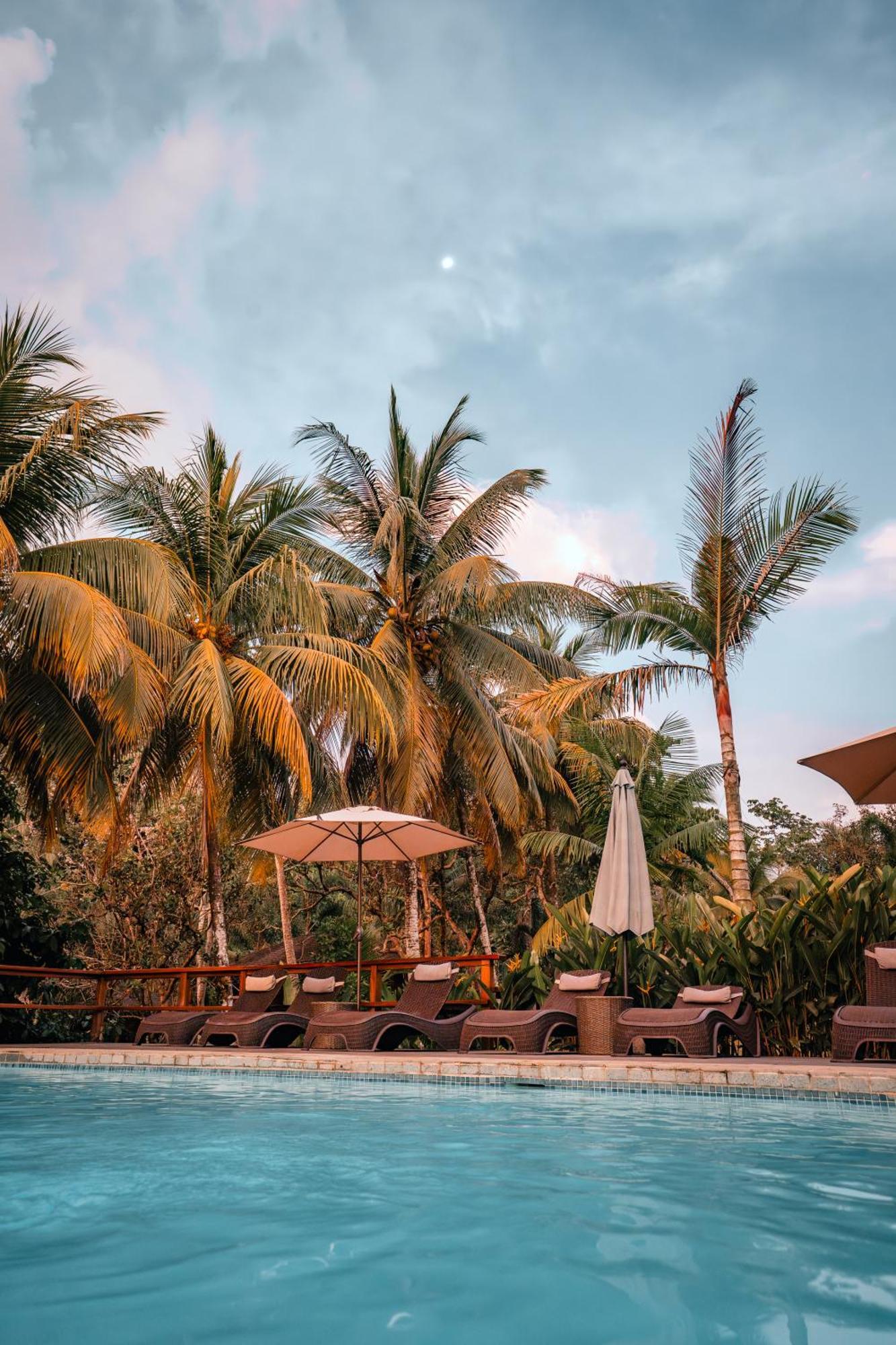 Natural Drake Bay Hotel Boutique المظهر الخارجي الصورة